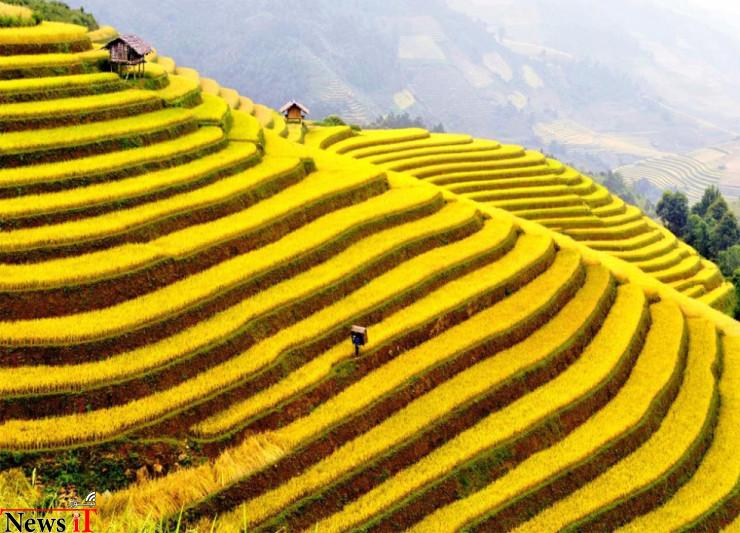 Muong Hoa Valley, Sa Pa, Lào Cai Province, Vietnam