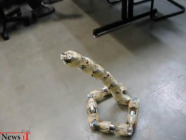 Snake robot